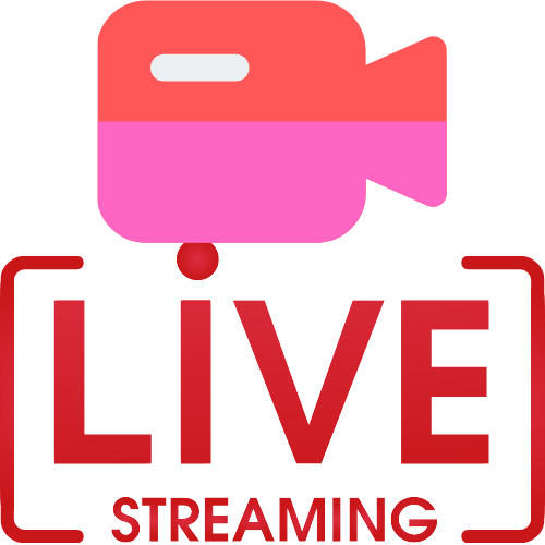 Camera In Anal